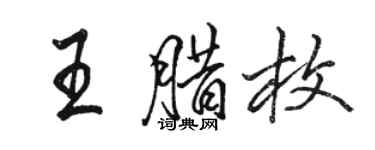駱恆光王臘枚行書個性簽名怎么寫