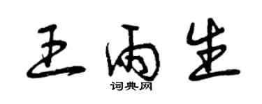 曾慶福王雨生草書個性簽名怎么寫