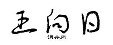 曾慶福王向日草書個性簽名怎么寫