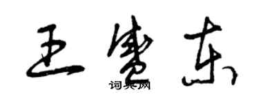 曾慶福王盛東草書個性簽名怎么寫