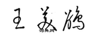 駱恆光王美鵑草書個性簽名怎么寫