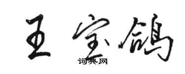 駱恆光王寶鴿行書個性簽名怎么寫