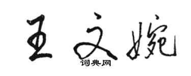 駱恆光王文婉行書個性簽名怎么寫