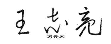 駱恆光王志亮草書個性簽名怎么寫