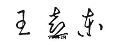 駱恆光王喜東草書個性簽名怎么寫