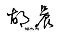 曾慶福胡晨草書個性簽名怎么寫