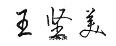 駱恆光王堅美行書個性簽名怎么寫