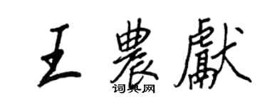 王正良王農獻行書個性簽名怎么寫