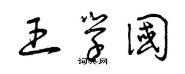 曾慶福王學國草書個性簽名怎么寫