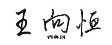 駱恆光王向恆行書個性簽名怎么寫