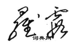 駱恆光羅霞草書個性簽名怎么寫