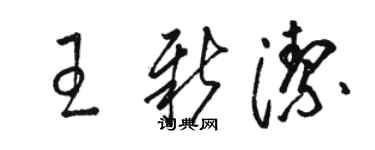 駱恆光王新潔草書個性簽名怎么寫