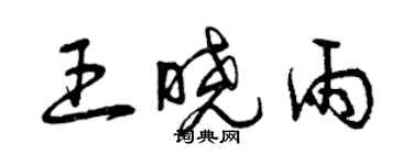 曾慶福王曉雨草書個性簽名怎么寫