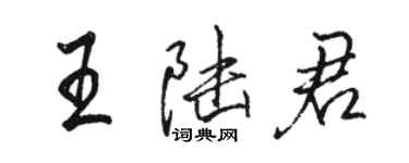 駱恆光王陸君行書個性簽名怎么寫