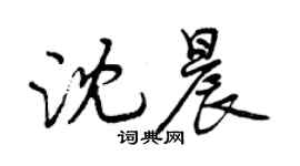曾慶福沈晨行書個性簽名怎么寫