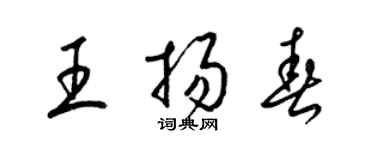 梁錦英王揚春草書個性簽名怎么寫