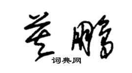 朱錫榮莫鵬草書個性簽名怎么寫