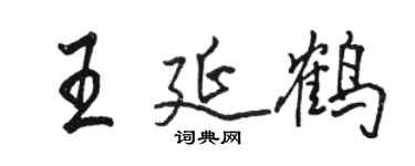 駱恆光王延鶴行書個性簽名怎么寫