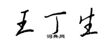 王正良王丁生行書個性簽名怎么寫