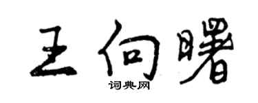 曾慶福王向曙行書個性簽名怎么寫
