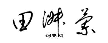 梁錦英田淑蘭草書個性簽名怎么寫