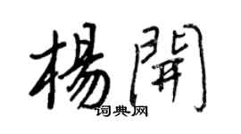 王正良楊開行書個性簽名怎么寫