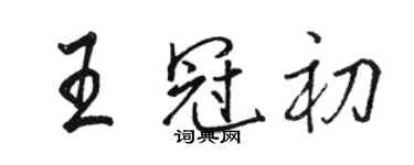 駱恆光王冠初行書個性簽名怎么寫