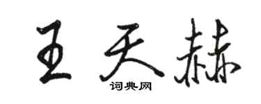 駱恆光王天赫行書個性簽名怎么寫