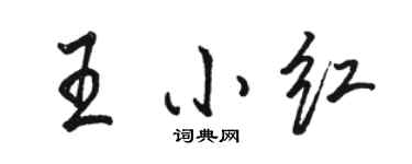 駱恆光王小紅行書個性簽名怎么寫