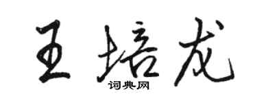 駱恆光王培龍行書個性簽名怎么寫