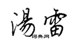王正良湯雷行書個性簽名怎么寫