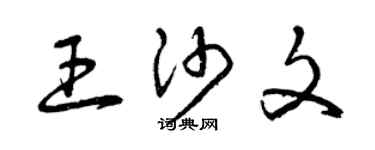 曾慶福王沙文草書個性簽名怎么寫