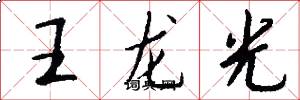 王龍光怎么寫好看