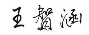 駱恆光王智涵行書個性簽名怎么寫