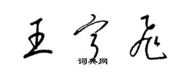 梁錦英王寧飛草書個性簽名怎么寫