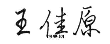 駱恆光王佳原行書個性簽名怎么寫