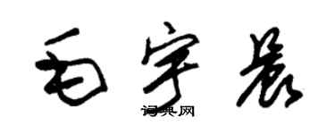 朱錫榮毛宇晨草書個性簽名怎么寫