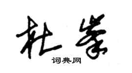 朱錫榮杜峰草書個性簽名怎么寫