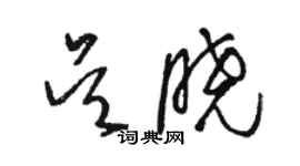 駱恆光吳曉草書個性簽名怎么寫