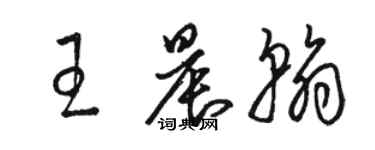 駱恆光王晨翰草書個性簽名怎么寫