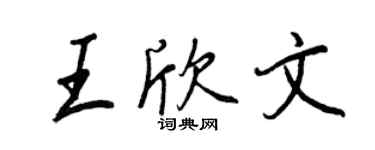 王正良王欣文行書個性簽名怎么寫