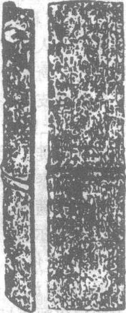 鄂君啟節_鄂君啟節介紹_歷史知識