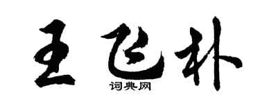 胡問遂王飛朴行書個性簽名怎么寫