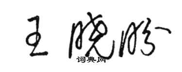 駱恆光王曉盼草書個性簽名怎么寫