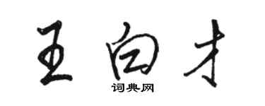 駱恆光王白才行書個性簽名怎么寫