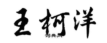 胡問遂王柯洋行書個性簽名怎么寫