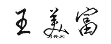 駱恆光王美富行書個性簽名怎么寫