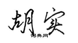 駱恆光胡實行書個性簽名怎么寫