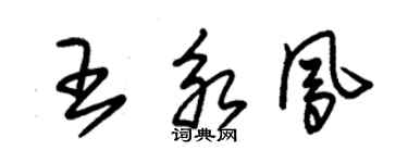 朱錫榮王永鳳草書個性簽名怎么寫