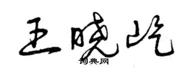 曾慶福王曉屹草書個性簽名怎么寫